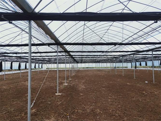 新余市仙女湖農業科技園菜藝家庭農場基地